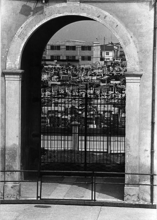 trattori invece che erba